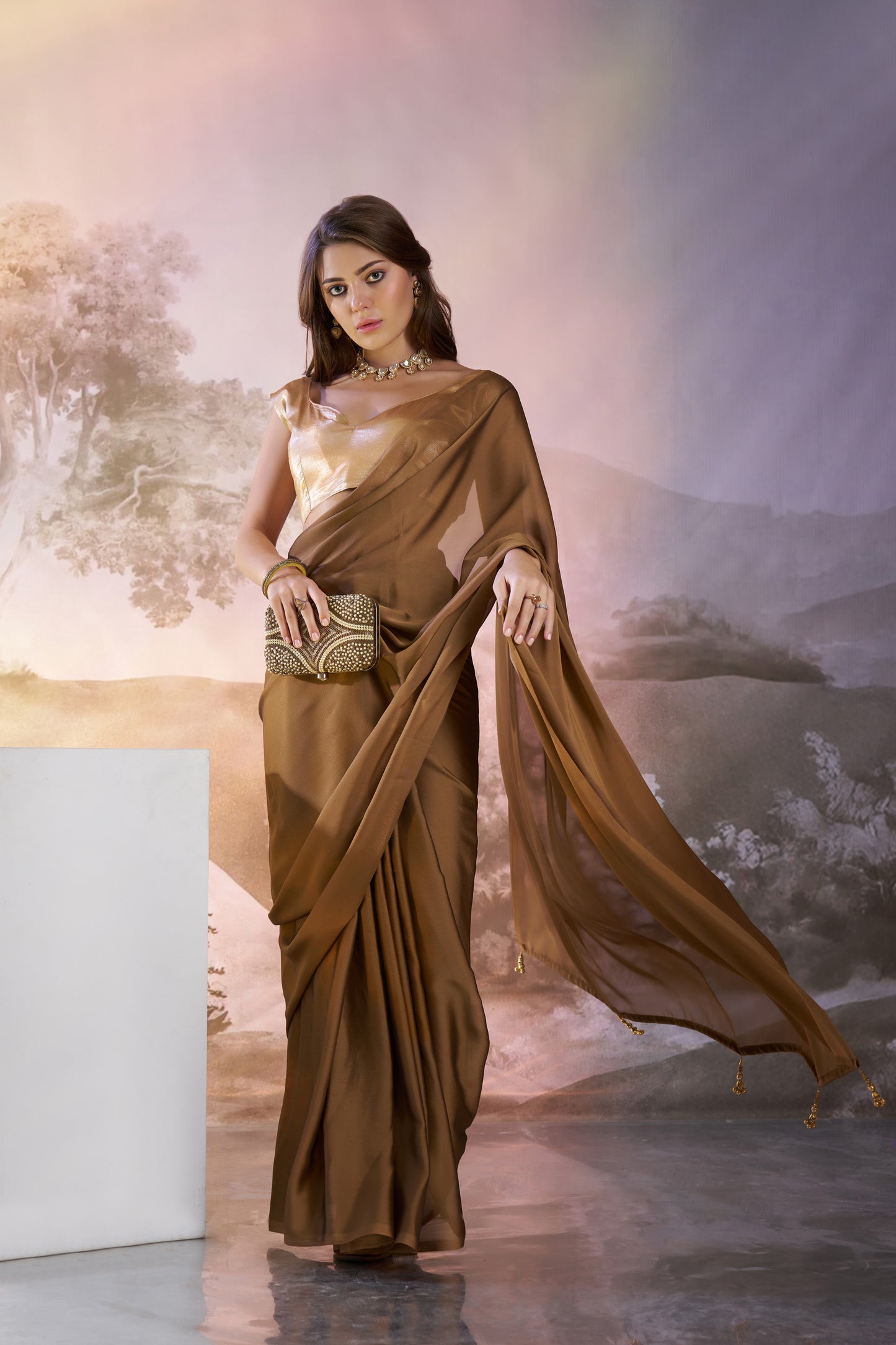 Brown Satin Rangoli Saree with Fancy Lace & Unstitched Blouse