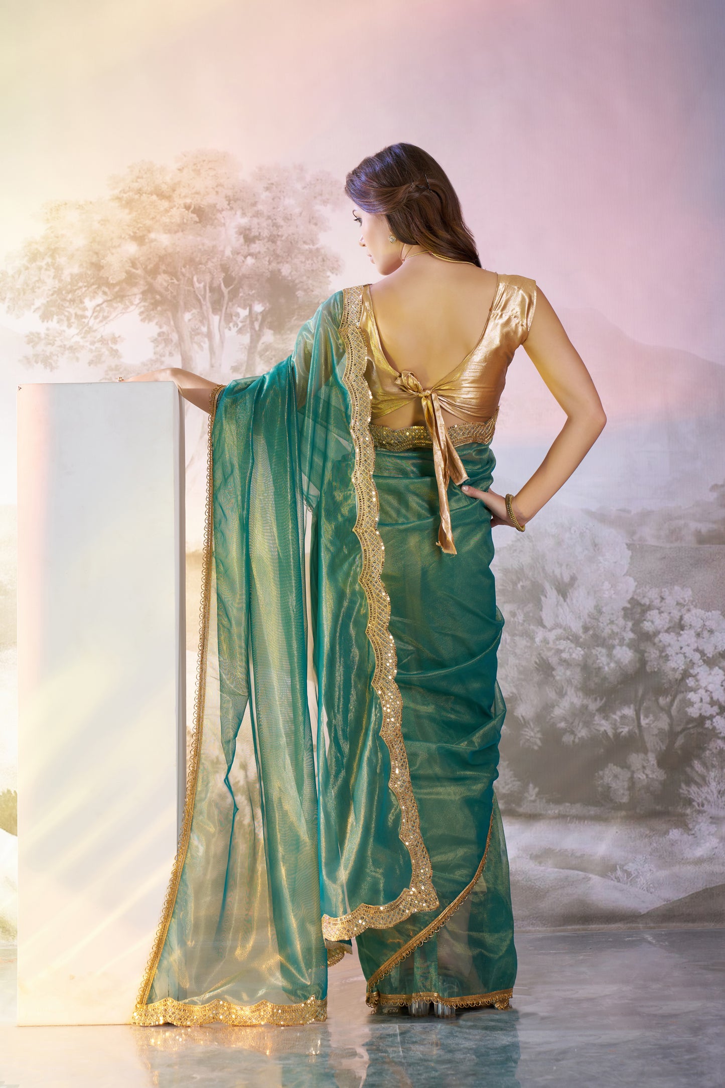 Sea green Color twill net saree with designer lace and unstitched blouse