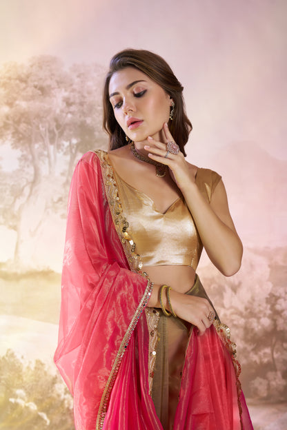 Pink Color twill net saree with designer lace and unstitched blouse